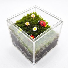 테라리움만들기 TOP01