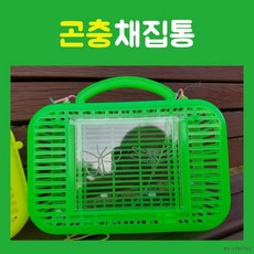 채집과관찰을동시에ufo곤충관찰통곤충채집통