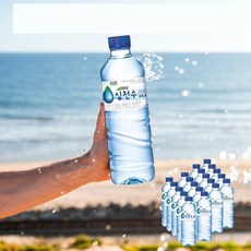 심천수