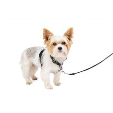 강아지 하네스 목줄 리드줄 애견 PetSafe 3 in 1 반려견 반려견을 당김 방지 솔루션 반사 앞쪽 D링 클립으로 패딩 스트랩 상단 핸들로 제어력 향상 청록색 중간 1252
