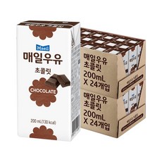 매일유업 매일 멸균우유 초콜릿 200ml 48팩 초코우유 초콜렛, 단일옵션