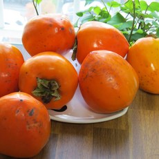대봉감 정품 10kg, 1박스, 소과(61-70과)