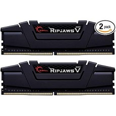 G.Skill 32GB DDR4 PC4-28800 3600MHz Ripjaws V for Intel CL16 (16-19-19-39) Dual Channel kit (2x16GB, 상세 설명 참조0