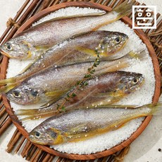 훈훈수산 (개별포장) 참조기 5마리 450g 내외