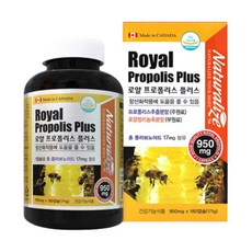 코스트코로얄젤리