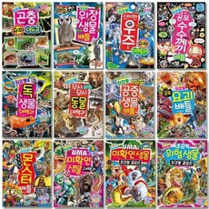 최강왕시리즈