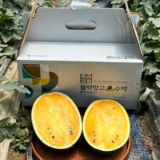 산지직송 한정판매 고창 스테비아 블랙망고 수박 노랑 고당도 프리미엄 3kg