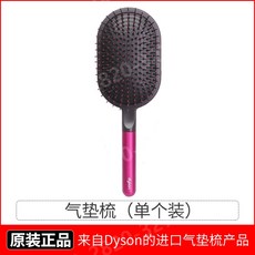 다이슨패들브러쉬