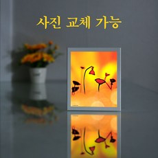 600일사진