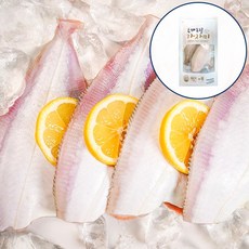 참가자미