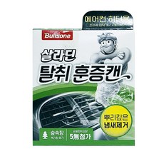 불스원 살라딘 훈증캔 차량탈취제 숲속향 본품, 65.8g, 1개