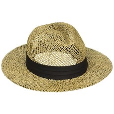 페도라co플러스