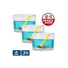 팬시로비개미관찰하기