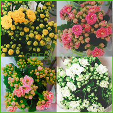 a60d6ad714f837fd1ab60e2b498690e3711ffe0f1fd4d1267e74a1867abb.png