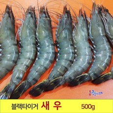 홍다리얼룩새우