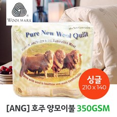 350gsm양모