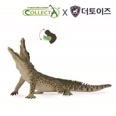 컬렉타악어