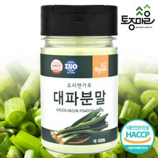 토종마을 대파 분말, 1개, 100g