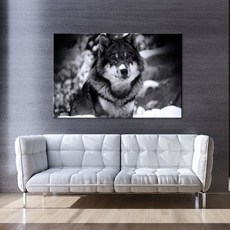 흑백인화확대기