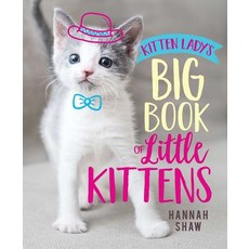 Kitten Lady's Big Book of Little Kittens Hardcover, Aladdin Paperbacks, English, 9781534438941