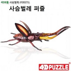 사슴벌레조립