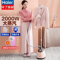 영업용스팀다리미