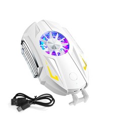 루이트스마트폰쿨러