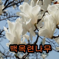 fac68f1c99367428854b399d1b756d69056eedfa5859730ef1168520a13c.png