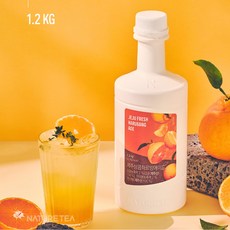 네이쳐티 감귤 한라봉 제주상크 하르방에이드 카페음료베이스 1.2kg, 4개