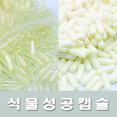 식물성 공캡슐 1000개 식물성공캡슐 빈캡슐 알약 가루약 고양이약 강아지약 100mg 150mg 250mg 500mg