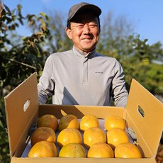 김해 진영단감 부유단감 햇단감, 1박스, 고당도 부유단감 대과 5kg (22과내외)