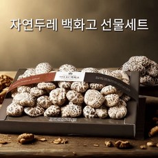 백화고 명품 표고버섯 명절 선물세트 프리미엄 표고버섯선물세트 국내산 500g, 1세트