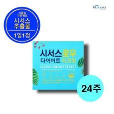 [리뉴얼]시서스 로우 다이어트 시크릿 하루한알 체지방감소 (700mg*28정), 6박스(24주/168정)