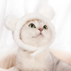 컴인펫 귀여운 반려동물 고양이 토끼 모자, 1개, 화이트
