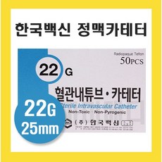 한국백신 카테터 22G 25mm 정맥주사기 멸균 카테타 혈관내튜브 한백, 1개