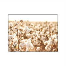 가을 햇빛 풍경 벽 아트 캔버스 페인팅 북유럽 리드 포스터 밀 귀 포스터 벽 사진 거실 가을 장식, 20x30cm No Frame, 12, 1개