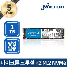 마이크론 크루셜 P2 M.2 NVME SSD, 1TB