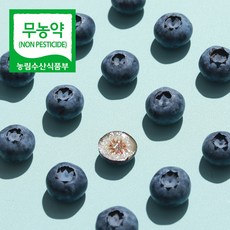 무농약블루베리-추천-상품