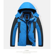 골든베어바시티