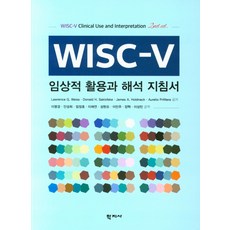 k-wisc-v이해와해석