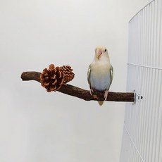 파파모미 앵무새 횃대 소나무 횟대 고정형, A형 20-25cm, 1개