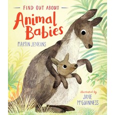 (영문도서) Find Out about Animal Babies Hardcover, Candlewick Press (MA), English, 9781536220469