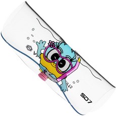 홀로그램수경케이스