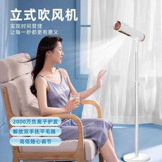 머리 말리는 기계 건조 음이온 헤어 케어 말려주는, 1개
