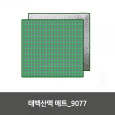 태백산맥