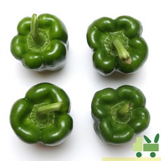 사라상회 청피망 1Kg (특), 1개