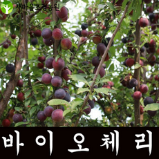 cb733024ebed37b22793e500e1079dabd2d644724a505e066450f19aa26b.png
