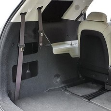 올뉴카니발천정형