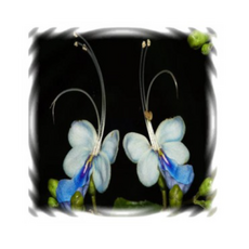 236cf9d418f83585db9a8923b3948c041c78d03a5a740a714fe47e917c93.png