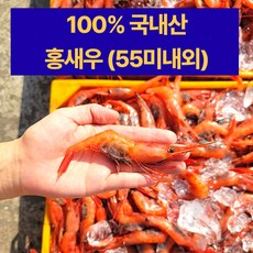 속초 100% 국내산 자연산 단새우(55미내외) 횟감 홍새우 아마에비 홈마카세 최근조업 급냉, 1통, 500g